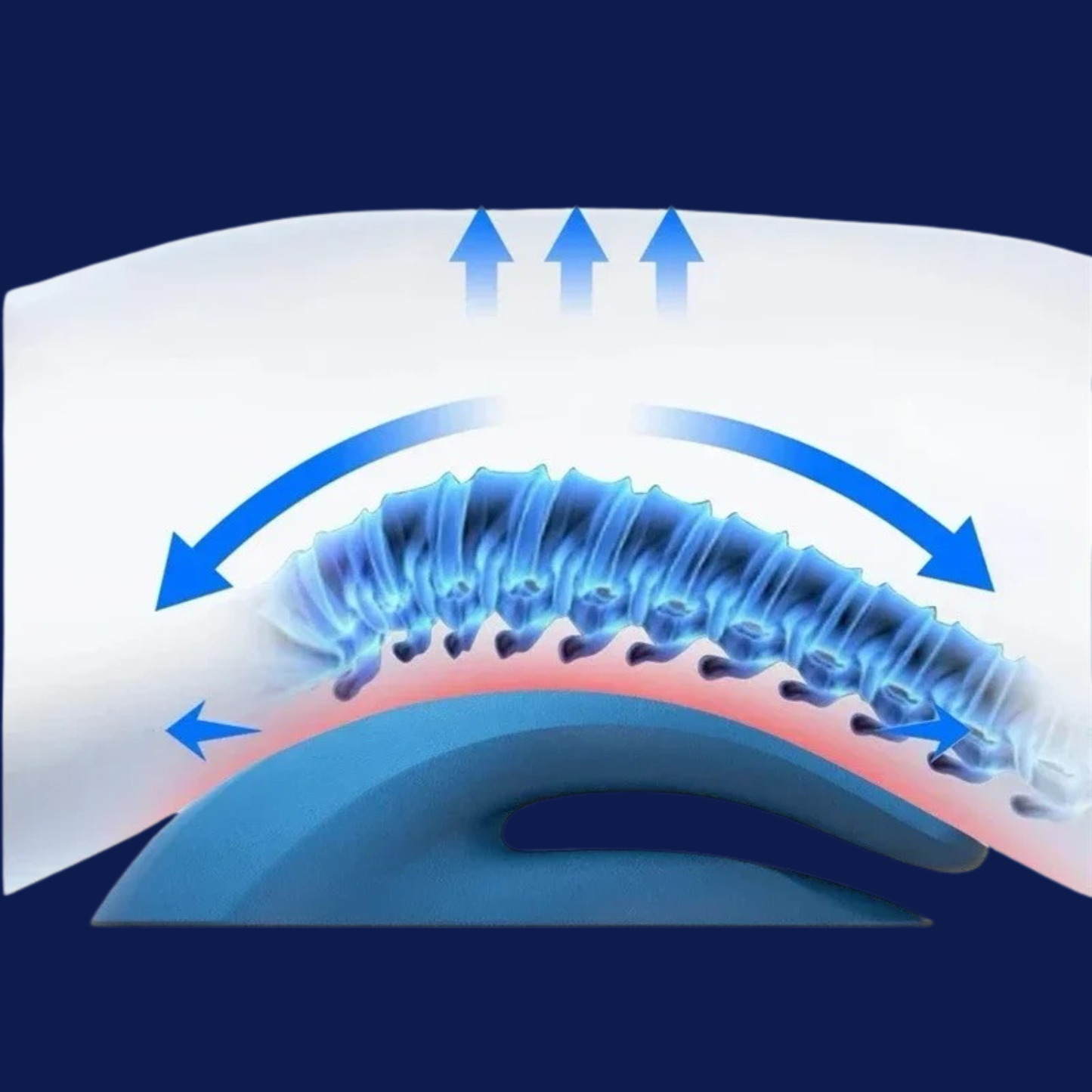 מותחן גב אורטופדי של איב טרפיה